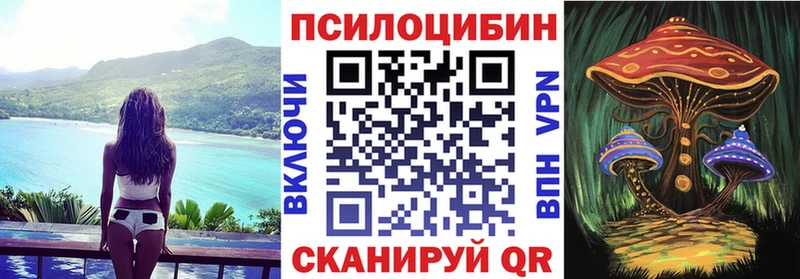 Галлюциногенные грибы Psilocybine cubensis  Заозёрный 
